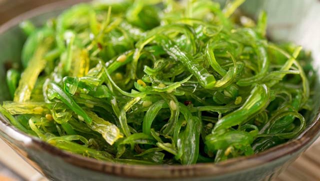 Tảo xoắn Spirulina Algae là gì? 