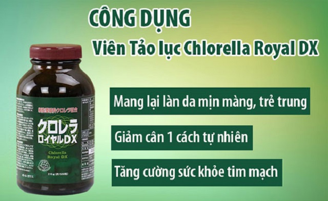 Viên uống tảo lục chlorella ROYAL DX mang đến sức khỏe dồi dào